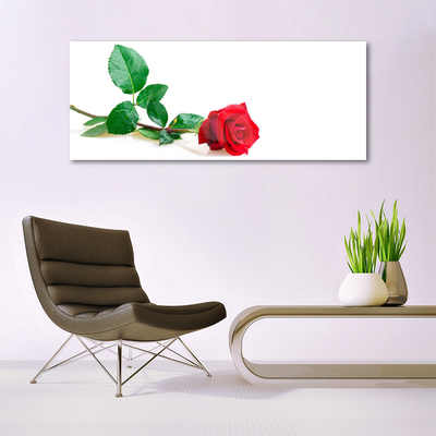 Image sur verre acrylique Rose floral rouge