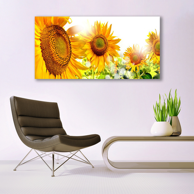 Image sur verre acrylique Tournesol floral jaune brun
