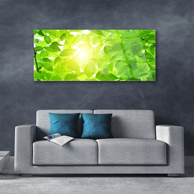 Image sur verre acrylique Feuilles floral vert