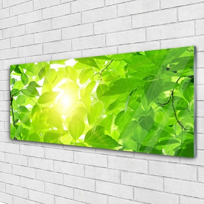 Image sur verre acrylique Feuilles floral vert