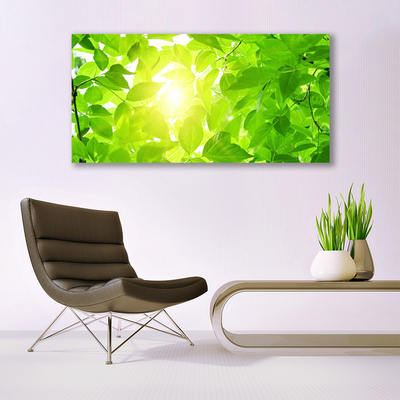 Image sur verre acrylique Feuilles floral vert