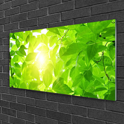Image sur verre acrylique Feuilles floral vert