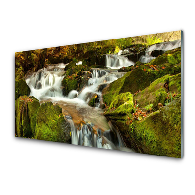 Image sur verre acrylique Rochers cascade nature blanc vert