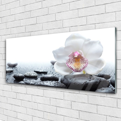 Image sur verre acrylique Pierres fleurs art blanc noir