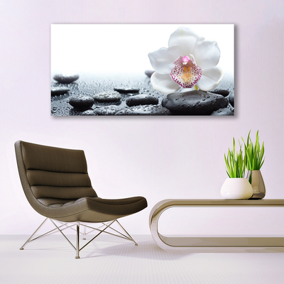 Image sur verre acrylique Pierres fleurs art blanc noir