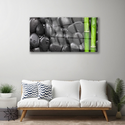 Image sur verre acrylique Pierres bambou art vert noir