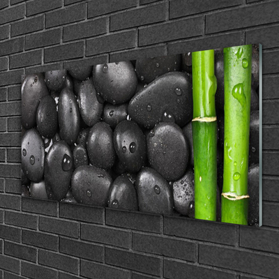 Image sur verre acrylique Pierres bambou art vert noir