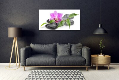 Image sur verre acrylique Pierres fleurs art rose noir