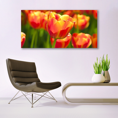 Image sur verre acrylique Tulipes floral jaune rouge