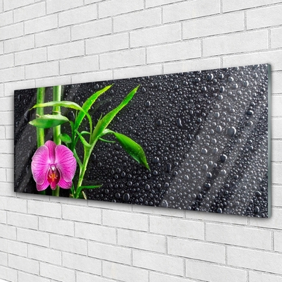 Image sur verre acrylique Fleur bambou floral rose vert
