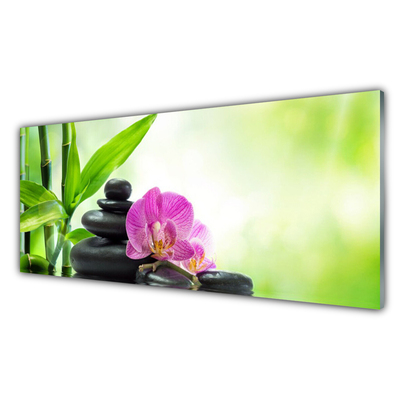 Image sur verre acrylique Pierres fleurs bambou floral vert noir rose
