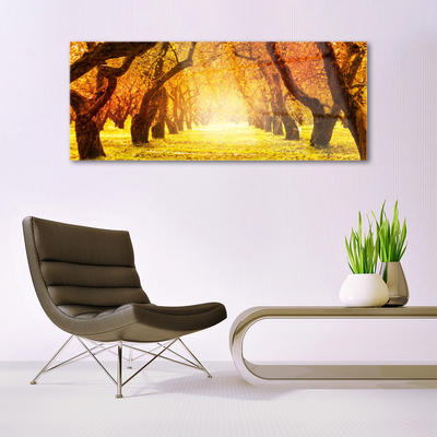 Image sur verre acrylique Forêt sentier nature brun jaune