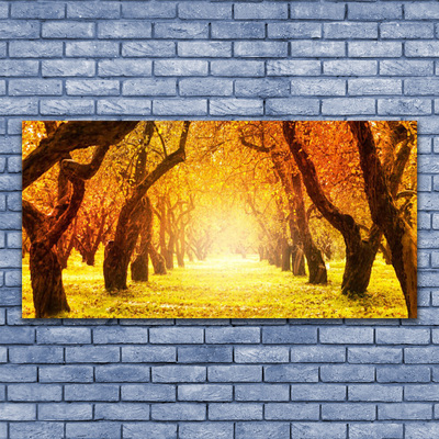 Image sur verre acrylique Forêt sentier nature brun jaune