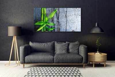 Image sur verre acrylique Bambou floral vert