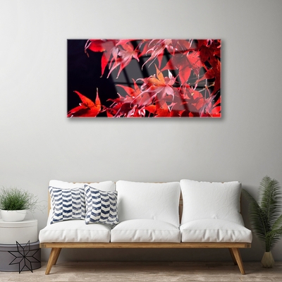 Image sur verre acrylique Feuilles floral orange