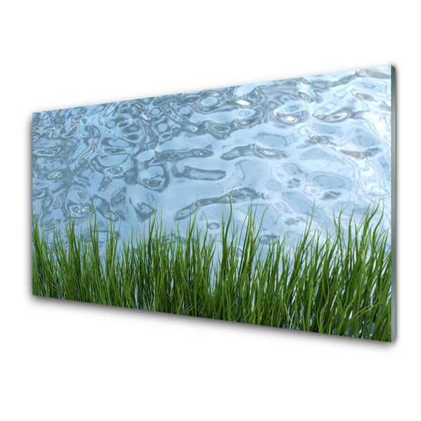 Image sur verre acrylique Eau herbe nature vert bleu