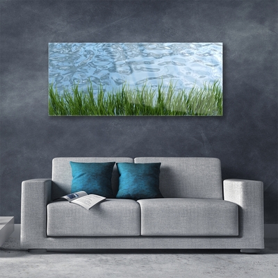 Image sur verre acrylique Eau herbe nature vert bleu