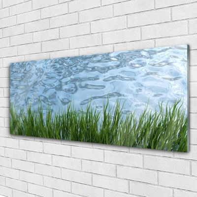 Image sur verre acrylique Eau herbe nature vert bleu