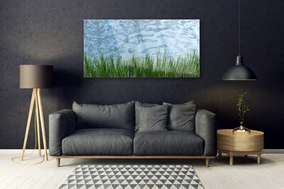 Image sur verre acrylique Eau herbe nature vert bleu