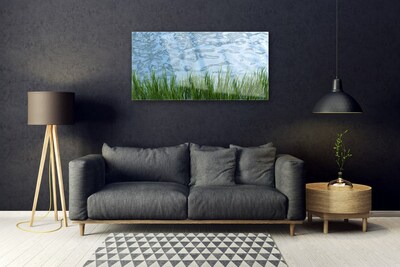 Image sur verre acrylique Eau herbe nature vert bleu