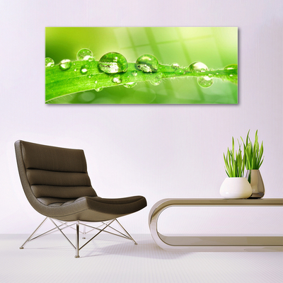 Image sur verre acrylique Gouttes de rosée feuille floral vert