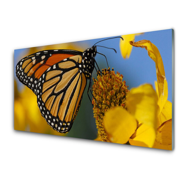 Image sur verre acrylique Fleur papillon nature noir blanc jaune