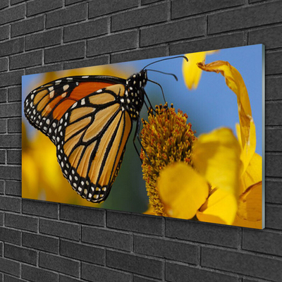 Image sur verre acrylique Fleur papillon nature noir blanc jaune