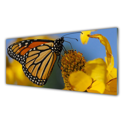 Image sur verre acrylique Fleur papillon nature noir blanc jaune