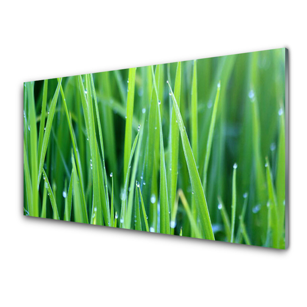 Image sur verre acrylique Herbe nature vert