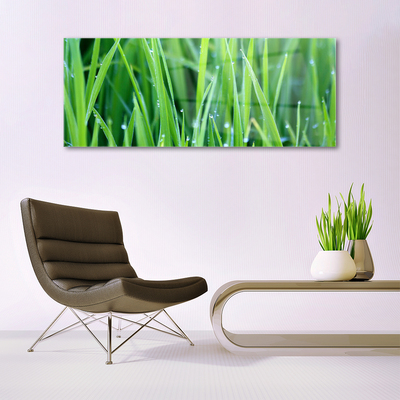 Image sur verre acrylique Herbe nature vert