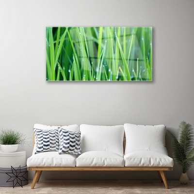 Image sur verre acrylique Herbe nature vert