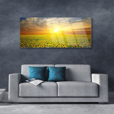 Image sur verre acrylique Prairie tournesols nature jaune brun vert