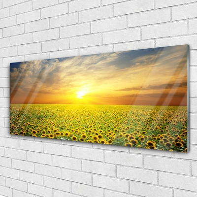 Image sur verre acrylique Prairie tournesols nature jaune brun vert