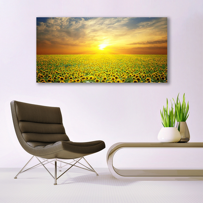 Image sur verre acrylique Prairie tournesols nature jaune brun vert