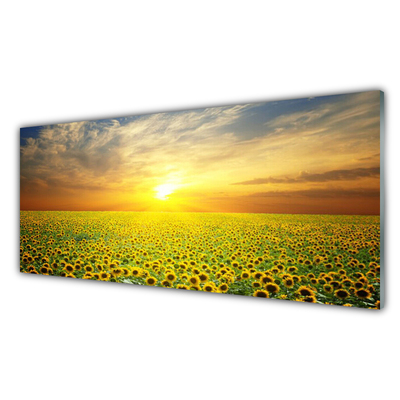 Image sur verre acrylique Prairie tournesols nature jaune brun vert