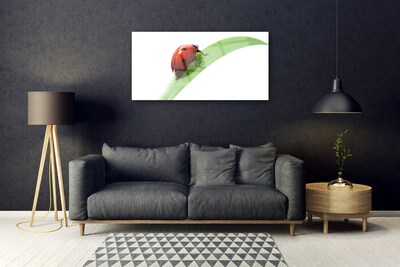 Image sur verre acrylique Coccinelle feuille nature vert rouge noir