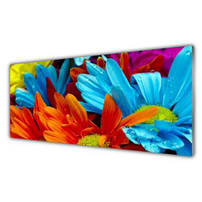 Image sur verre acrylique Fleurs floral rouge bleu orange