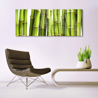 Image sur verre acrylique Bambou floral vert
