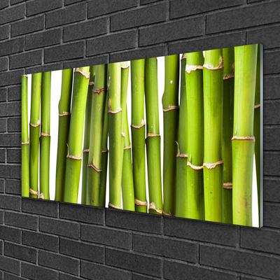 Image sur verre acrylique Bambou floral vert