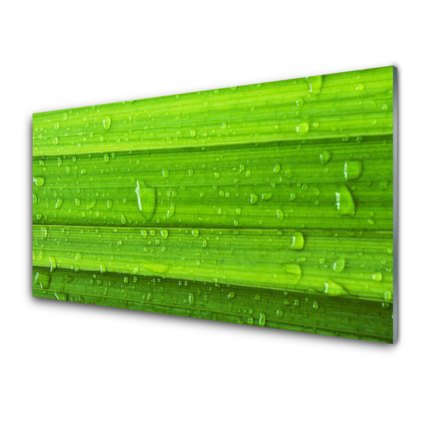 Image sur verre acrylique Herbe nature vert
