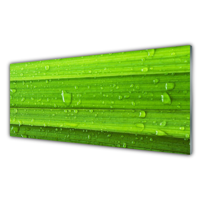 Image sur verre acrylique Herbe nature vert