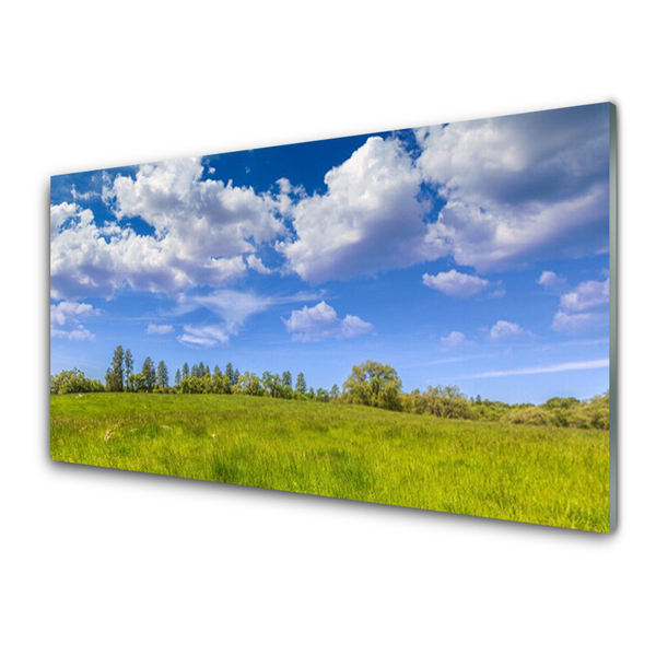 Image sur verre acrylique Prairie herbe paysage vert