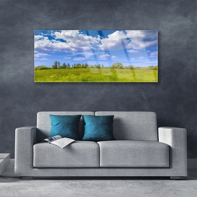 Image sur verre acrylique Prairie herbe paysage vert