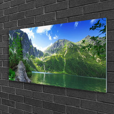 Image sur verre acrylique Montagne lac nature gris vert