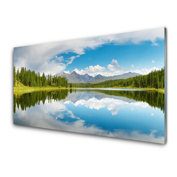 Image sur verre acrylique Forêt lac paysage vert bleu