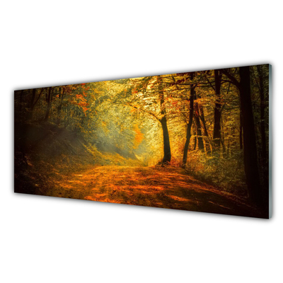 Image sur verre acrylique Forêt nature brun vert jaune