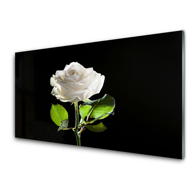 Image sur verre acrylique Rose floral blanc