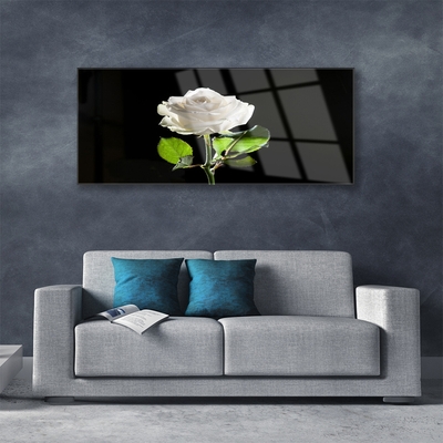 Image sur verre acrylique Rose floral blanc