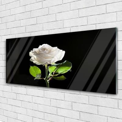 Image sur verre acrylique Rose floral blanc