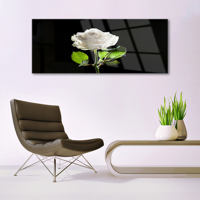 Image sur verre acrylique Rose floral blanc